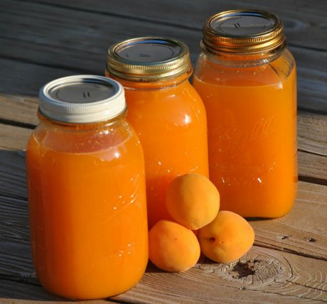 Заготовки из абрикосов на зиму: ТОП-5 рецептов